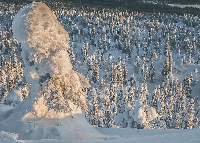 度假居 Ojala By Interhome *